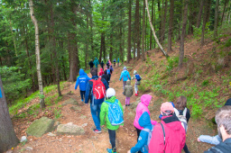 borowice_17.06.2017-9